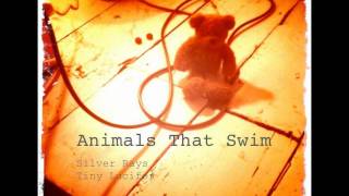 Animals that Swim - Tiny Lucifer