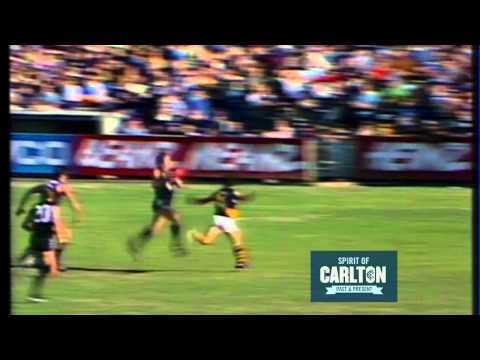 Wayne Harmes 1982 - Carlton Football Club Past Player