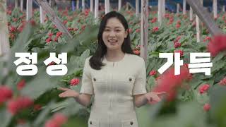 금산삼사랑농원 홍보 영상