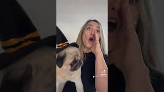 The Magic Of Our Book