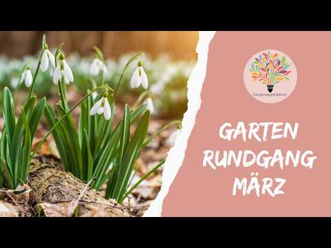 Gartenrundgang März: Das blüht jetzt bei mir - Gartenexpedition #naturgarten #gartenrundgang