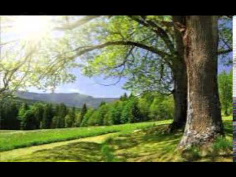 Efto Pupinoski - Pesna za zivotot