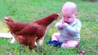Miniature vidéo