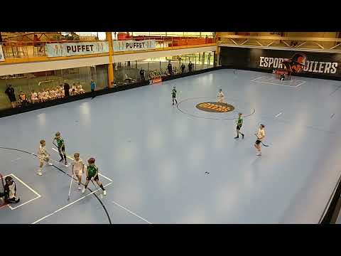 P13 vs. Oilers NG White - Stream