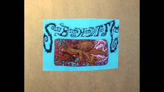 Sunburned Hand of the Man - Wild Animal [FULL ALBUM]