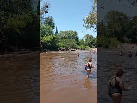 Los aromos Córdoba Argentina