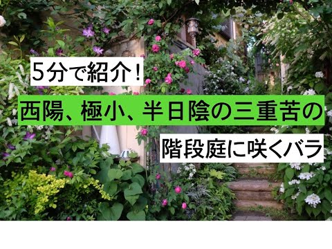 園芸 日本の階段