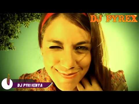 DJ PYREX   RAM DANCE STYLE REGGAE VIDEO MIX 2  RUB A DUB REGGAE  CARMANIA 2 0  SUNSET GT  NGANYA