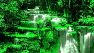 un par de humanos marco antonio solis