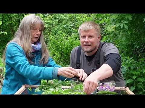 Wildkräutersalat mit Sören