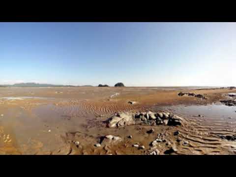 서천 갯벌 (VR)