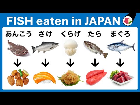 Learn Japanese Fish Names – Easy Words for Beginners