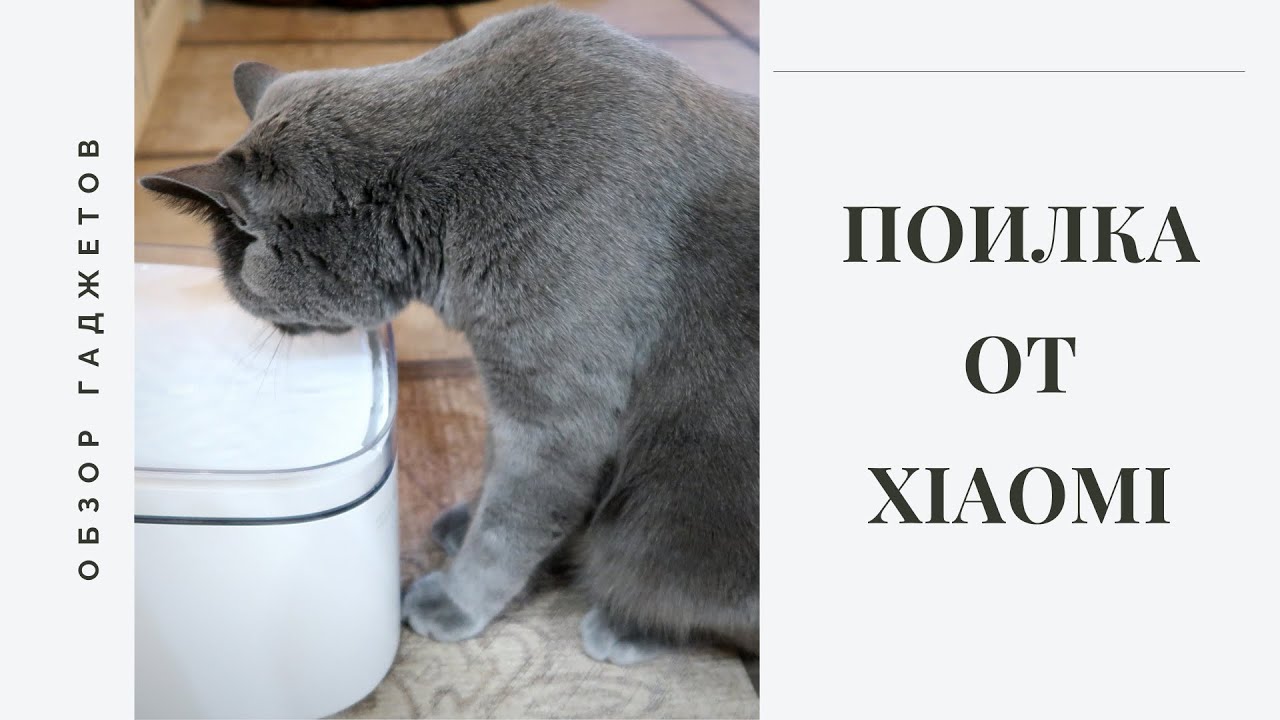 XIAOMI ПОИЛКА для животных. Питьевой фонтанчик для кошек и собак kitten puppy (ENG SUB)
