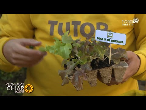 Vediamoci chiaro Insieme, 18 febbraio 2022 - "L'orto in casa"