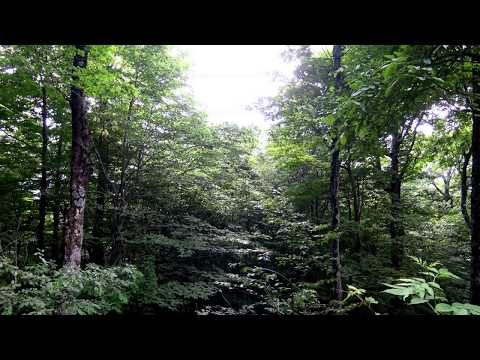 Pan Ron    Kom Veacha Tha Sneha Knom