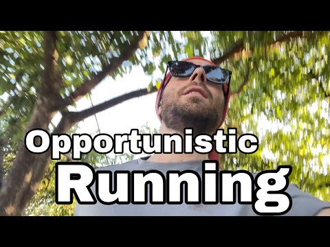 Running when really, really busy - Scott - Week 252