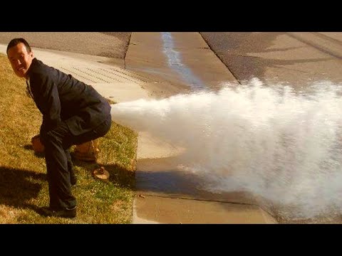 😄 Faze comice 😄 Pisici amuzante 😄 Dorel 😄 Incearca sa nu razi 😄 Faze amuzante 😄 Citeste descrierea