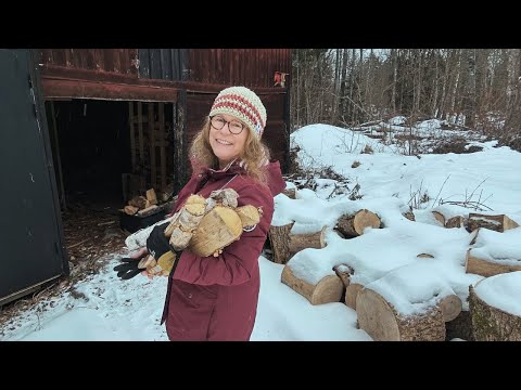 ❄️ Winter in the forest 🇸🇪