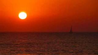 No hay palabras - Presuntos Implicados