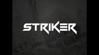 dj striker remix