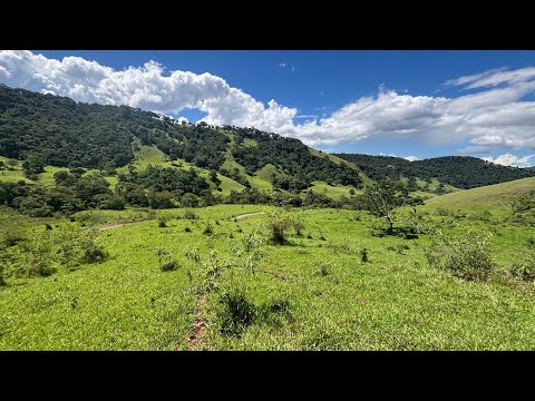 Área 53.300 m2- Consolação-MG R$ 250.000- nascente- escritura registrada