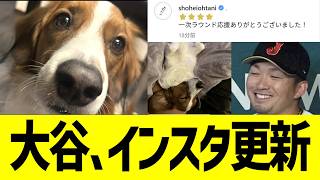 大谷、チェコ戦試合後にインスタ更新...!!!