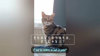 Download lagu C‘est l’extase by Claude Debussy mp3 Download lagu C‘est l’extase by Claude Debussy mp3