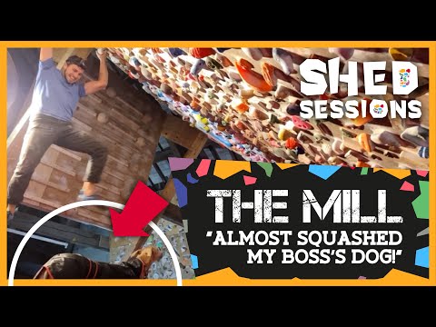 "Almost Squashed My Boss's Dog!" Shed Sessions Ep 1: THE MILL ft. James Taylor