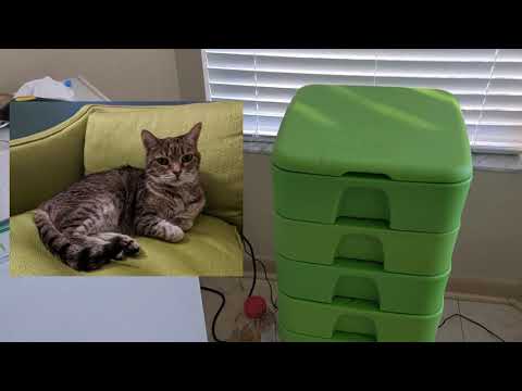 Hot Frog Living Composter Day 245 - Feeding and Baiting - Vermicomposting