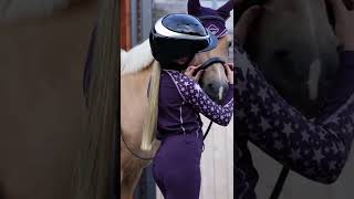 Harlow and Popcorn in purple!!#horses #short #viral