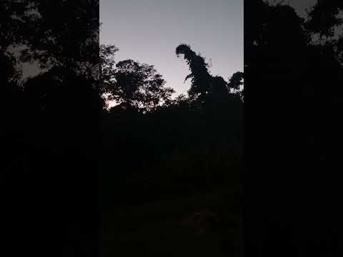 Chegou o Inverno no Rio grande do Sul aqui em Espumoso-RS