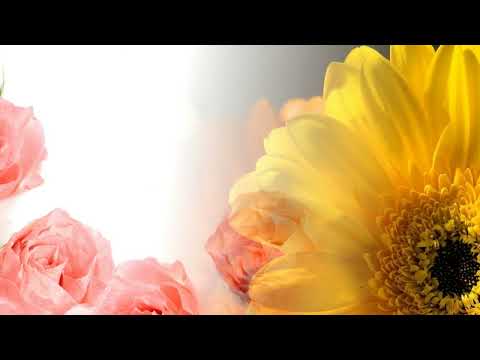 Duet Blagojevic   Lazarevic   Oj, devojko, duso