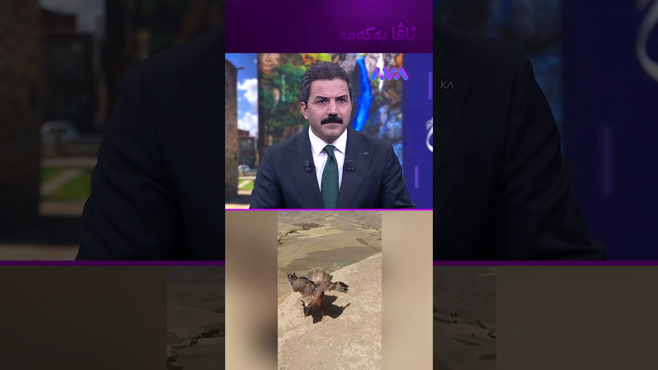 ڤیدیۆ | منداڵانی ژینگەپارێزی سەقز هەڵۆیەکیان ئازاد کرد