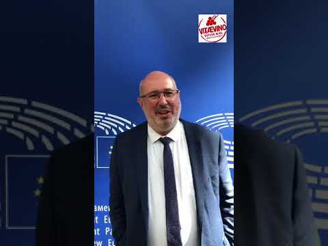 Video of Eric Sargiacomo