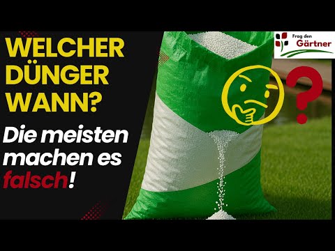 Rasen richtig düngen: So wählst du den besten Dünger – für jede Situation!