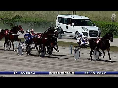 Aversa trotto 21 Maggio 2022 - 2° Corsa