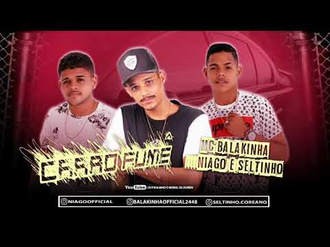 MC BALAKINHA, NIAGO E SELTINHO - CARRO FUMÊ ( MÚSICA NOVA )