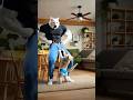 Dad Cat Makes Kitten Orders GALORE Room Explodes With Candy Cattales Catfunny