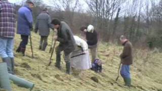 preview picture of video 'Planting Trees at the Bincombe Beeches Nature Reserve'
