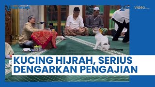 Tak Mau Ketinggalan, Kucing Ini Serius Dengarkan Pengajian hingga Duduk Paling Depan