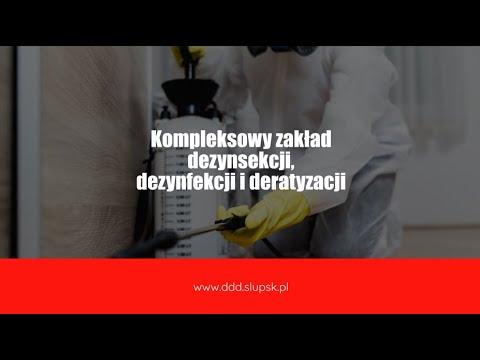 Zobacz filmy, Przemysław Groński Zakład Dezynsekcji, Dezynfekcji i Deratyzacji, Słupsk