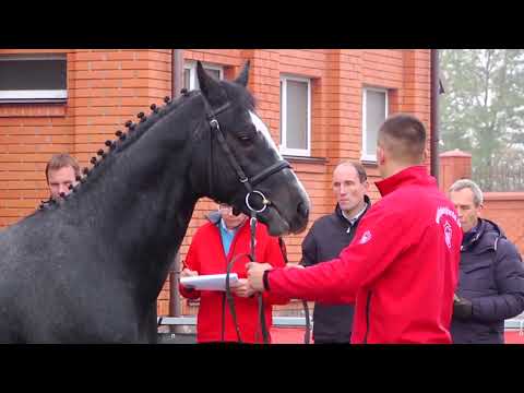 Cornet Obolensky - Eclisp