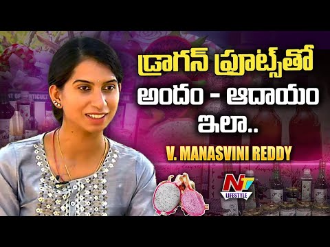 Dragon Fruit Food and skin care products Making | Vanipalli Manaswini Journey | Ntv lifestyle