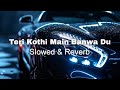 Teri Kothi Main Banwa Du Slowed Reverb तेरी कोठी मैं बनवा दू Krish
