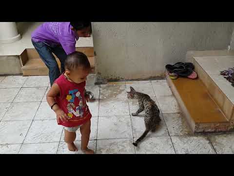 Vrinda with her friends