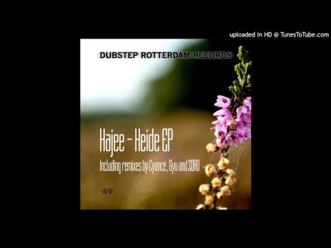 DSR006 - Hajee - Heide (Original Mix)