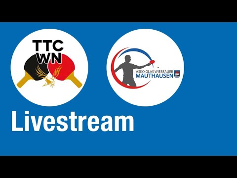 SolexConsult TTC Wiener Neustadt vs ASKÖ Glas Wiesbauer Mauthausen - Grunddurchgang 2019/2020