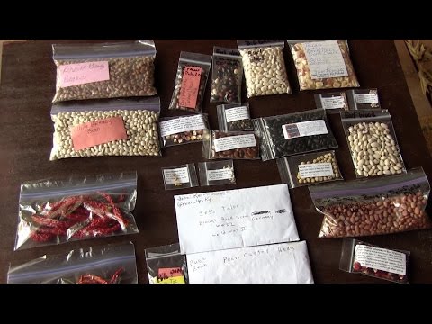 download lagu mp3 mp4 Saving Heirloom Seeds, download lagu Saving Heirloom Seeds gratis, unduh video klip Saving Heirloom Seeds