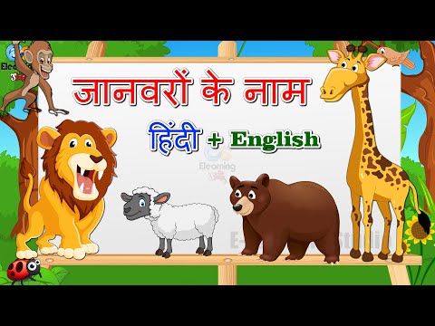 Pets name for kids hindi and english Mp4 3GP Video & Mp3 Download unlimited Videos Download Pets name for kids hindi and english Mp4 3GP Video & Mp3 Download unlimited Videos Download