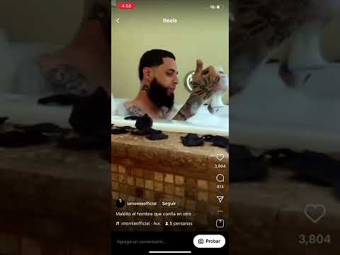 La momia - Freestyle